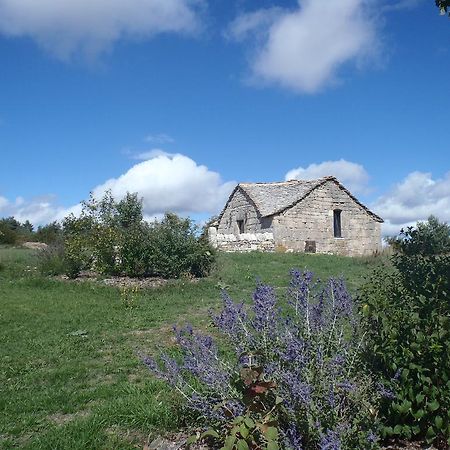Chapelle Du Domaine De Bombes Villa Saint-Rome-de-Dolan Ngoại thất bức ảnh